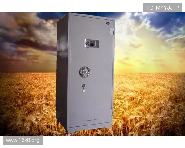 K8凯发登录入口官网地址最新更新及安全保障措施全面介绍